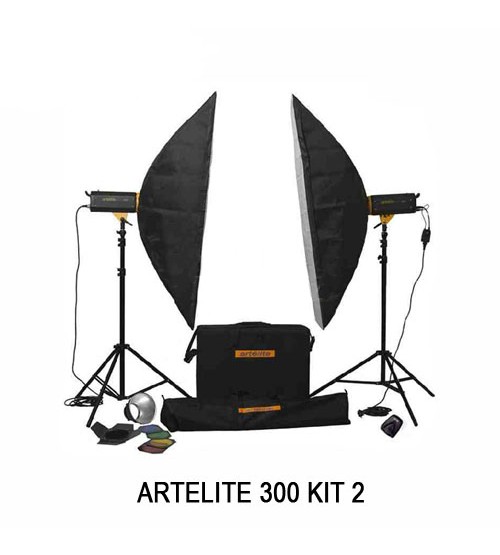 Paket Studio Golden Eagle Artelite 300 Kit 2